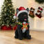 Christmas LED Lights Figurine-2024934830