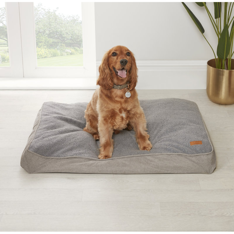 Polyester Pet Bed, 4.33cm H x 31.5cm W x 23.62cm D