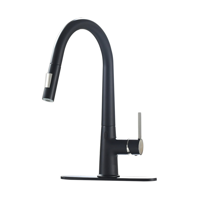 Robinet d'évier de cuisine à poignée simple avec capteur Topcraft, Noir mat/nickel brossé