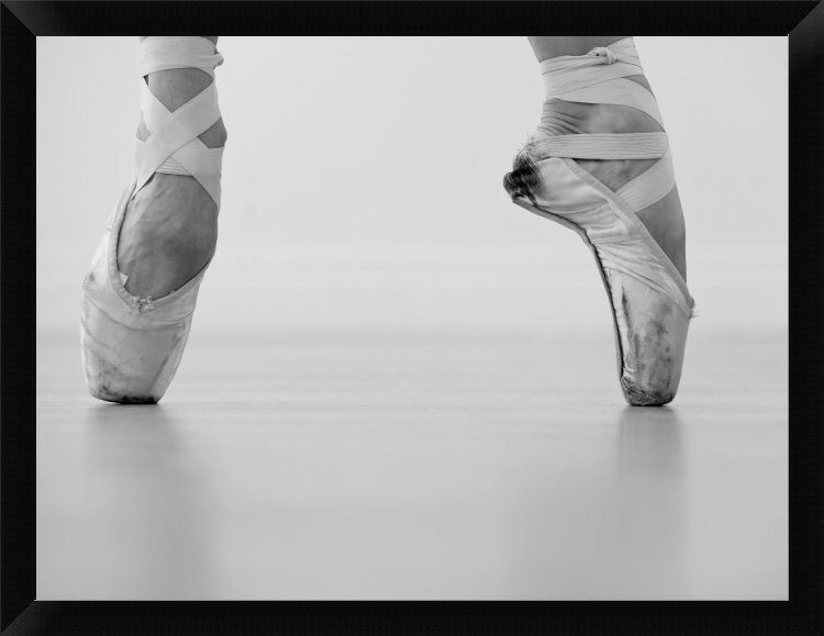 " A Female Ballet Dancer " East Urban Home 