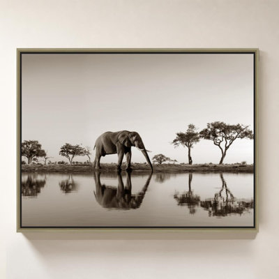 «Botswana Park» par Danita Delimont - impression sur toile