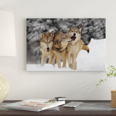 " Timber Wolf Trio Playing In Snow, Montana " by Tim Fitzharris