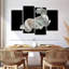 Poisson Betta blanc Brampt