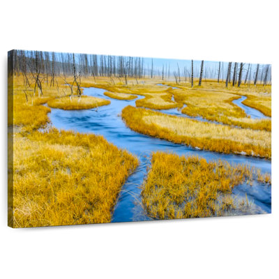Alvord Yellowstone Frosty Meadow
