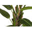 250cm Faux Banana Leaf Plant in Pot