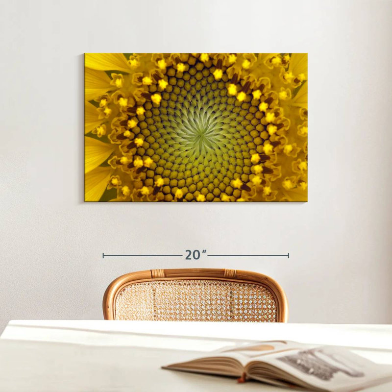 Harnek Symmetric Sunflower