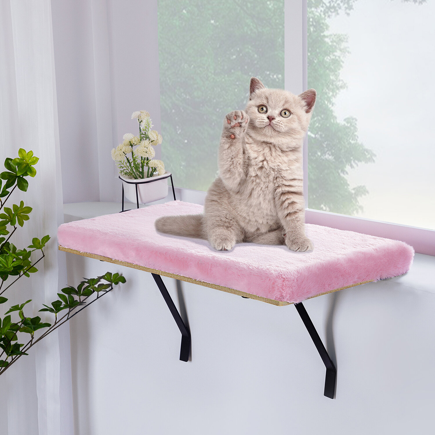 Cat Window Perch Cat Bed for Indoor Cats Washable Holds Up to 40