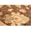 Tapis zone en laine beige/brun 4 pi 10 po x 6 pi 7 po one-of-a-kind à la main noué la 2010 chobi Erwan