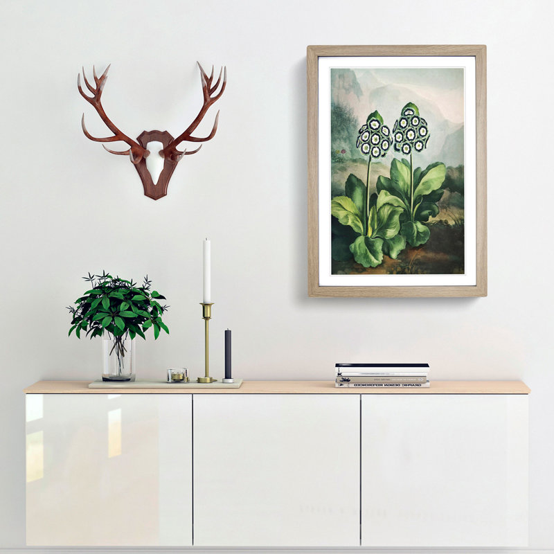 Bears Ear Plant by R.J. Thornton - Single Picture Frame Painting, 63cm H x 45cm W x 2cm D, Oak Framed