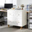 Classeur multifonctionnel blanc Nordic Office