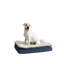 Lit orthopédique pour animaux Archie & Oscar ™ Home & Pet-608737415-608737530