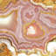 "corail luster" , impression sur toile tendue-74427882-74427880-74427881
