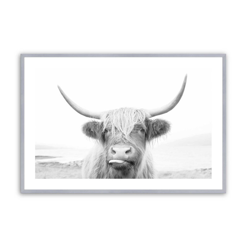 Imprimé de vache Highland ludique, Cadre en chrome poli, H 12,25 po x l 15,25 po x P 1,25 po