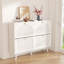 32 - Pair Shoe Storage Cabinet-1652760053
