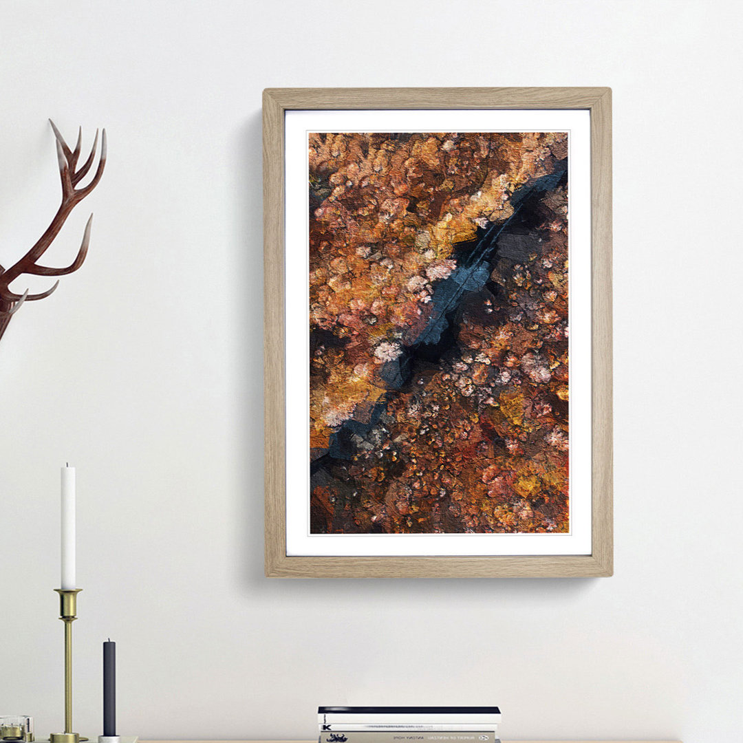 Forest in Piedimonte Matese Italy - Framed Print
