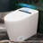 DeerValley Modern Elongated Smart Bidet Toilet with Heated Seat, Auto Flush, Warm Air Dryer and Bubble Wash in White