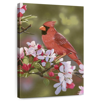 Brampt cardinal avec des fleurs de pommier