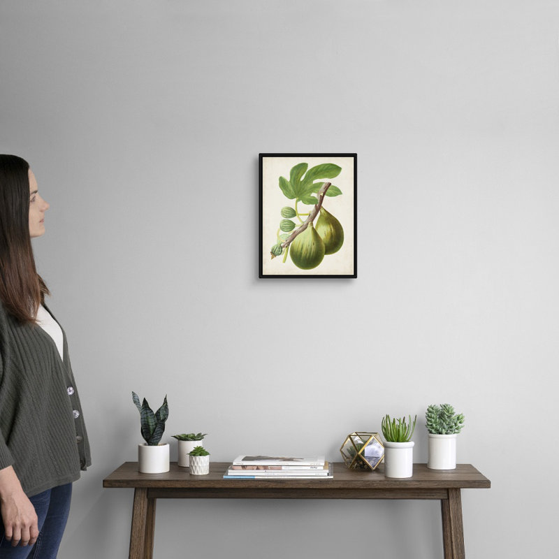 Antique Fruit IV - reproduction d'art sur toile, Cadre flottant noir, H 15,7 po x l 12,7 po x P 1,75 po