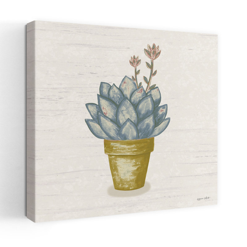Blooming Succulent I, art contemporain, H 36 po x l 36 po
