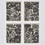 Silhouette moderne botanique noire et blanche - ensemble de 4 reproductions de cadres photo simples-97770609-97770612