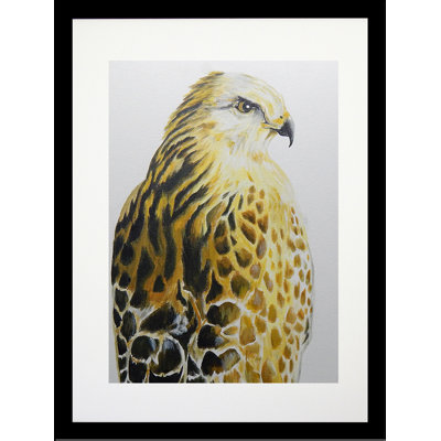 " Hawk " by Ed Capeau
