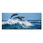 Dolphin Play Print-59012827-59014168