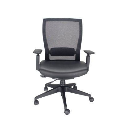 Mia Mesh Back Ergonomic Office Chair with Adjustable Arms & Lumbar, Seat Slide, and Tilt Control, Black Vinyl Seat