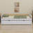 Platform Bed With Trundle-2133193035