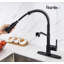 Rainlex Pull Down Kitchen Faucet
