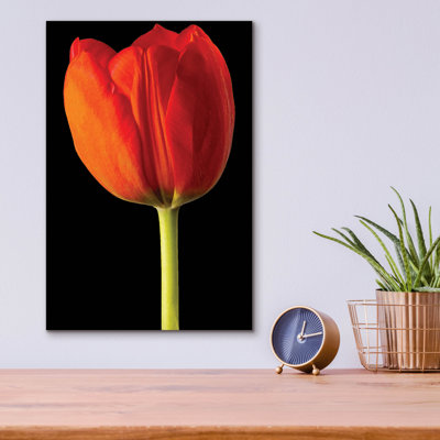 " Lady In Red " by Pamela Plummer