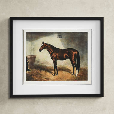 Galloping Brown Horse Front On Canvas Print