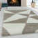 Tappahannock Shag Area Rug