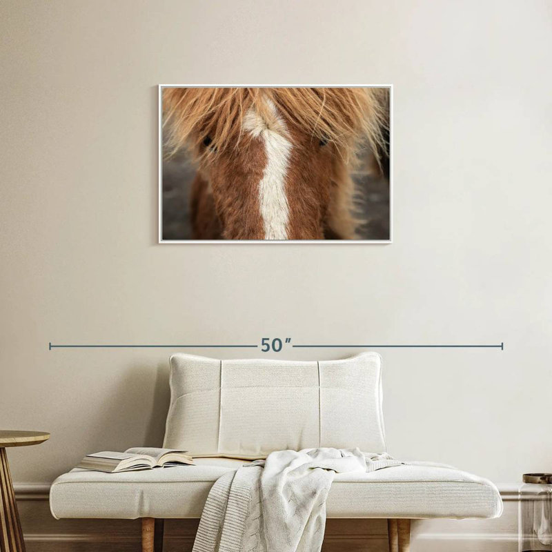 Gros plan d'un cheval Islandais, Cadre flottant blanc, 31 po x 21 po