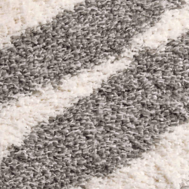 Heichman Animal Print 80cm X 150cm Area Rug
