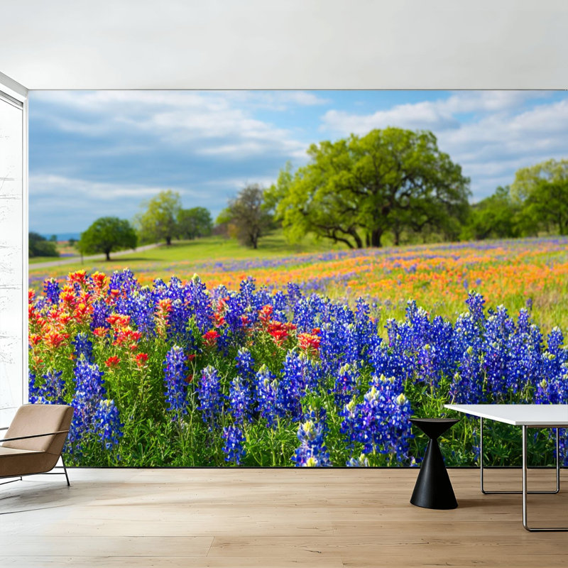 Papier peint adhésif pelez et collez fleurs sauvages du Texas Awash matin soleil art mural auto-adhésif et amovible