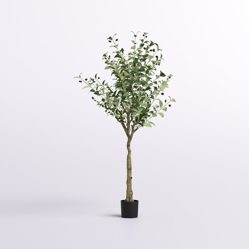 Faux Olive 60" Potted Tree
