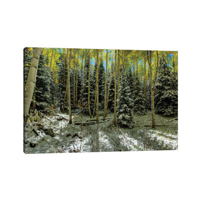 Colorado Autumn Snow Storm by OLena Art - Wrapped Canvas Photograph
