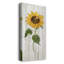 Tournesol en automne II - peinture sur toile tendue-231019524