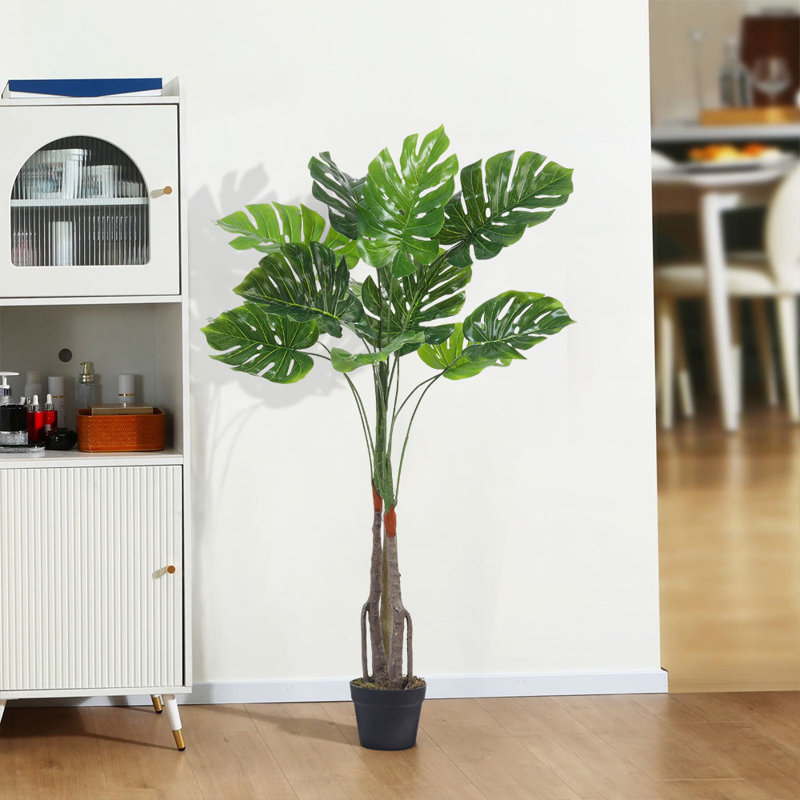 120cm Plant