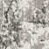 Strasser Performance Abstract Rug