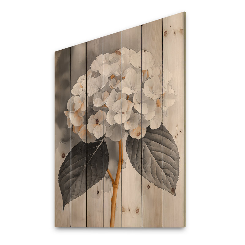 Monochrome Hydrangea With A Winter Stem I - Hydrangea Wood Print - On Natural Pine Wood, 20" H x 10" W x 0.78" D