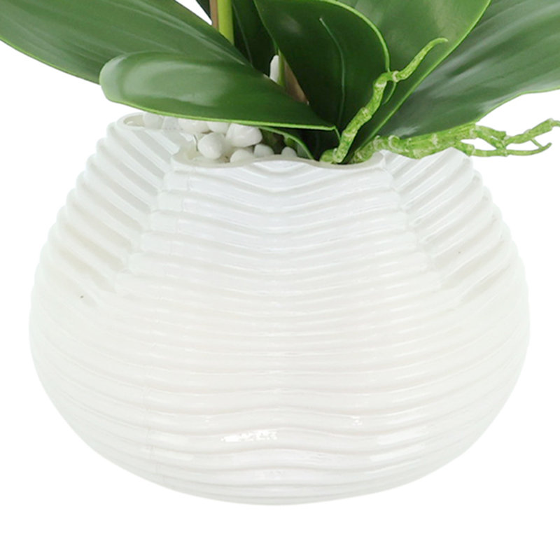 Arrangement floral orchidée en pot