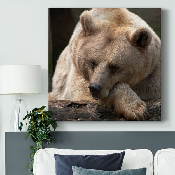 Millwood Pines Bear Toughts On Canvas Print | Wayfair