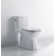 D-Code 1.28 GPF Elongated One-Piece Toilet (Seat Not Included)