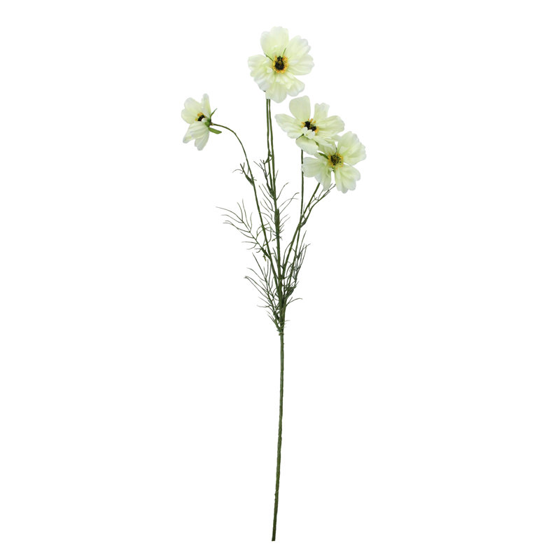 Cosmos Arrangement, Ivory