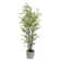 72'' Faux Bamboo Tree in Ecopaper Pot Liner