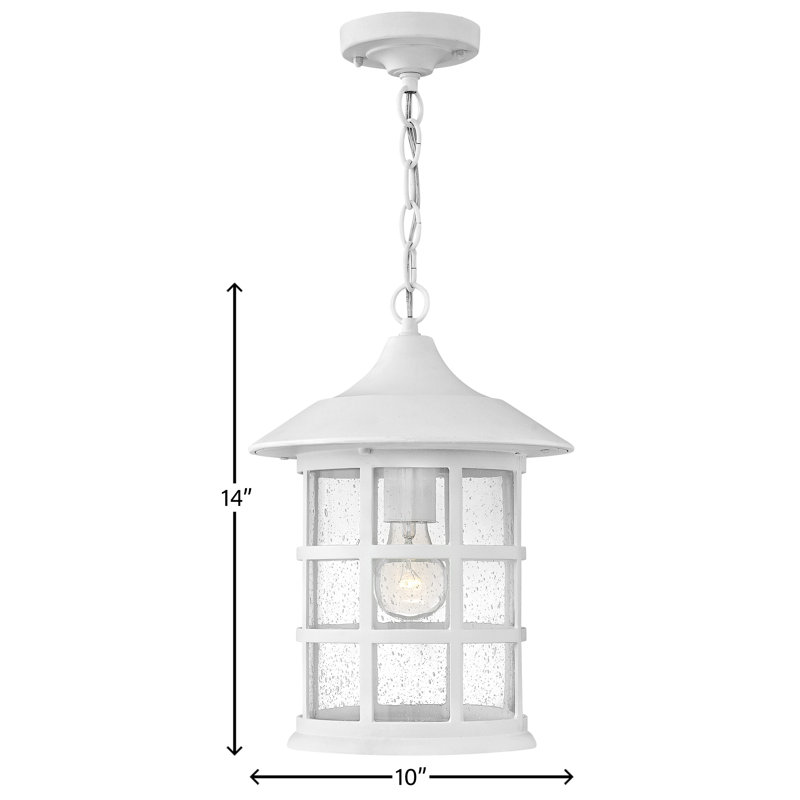 Freeport 1 Light Outdoor Hanging Lantern, Classic White, Medium, Clear Seedy