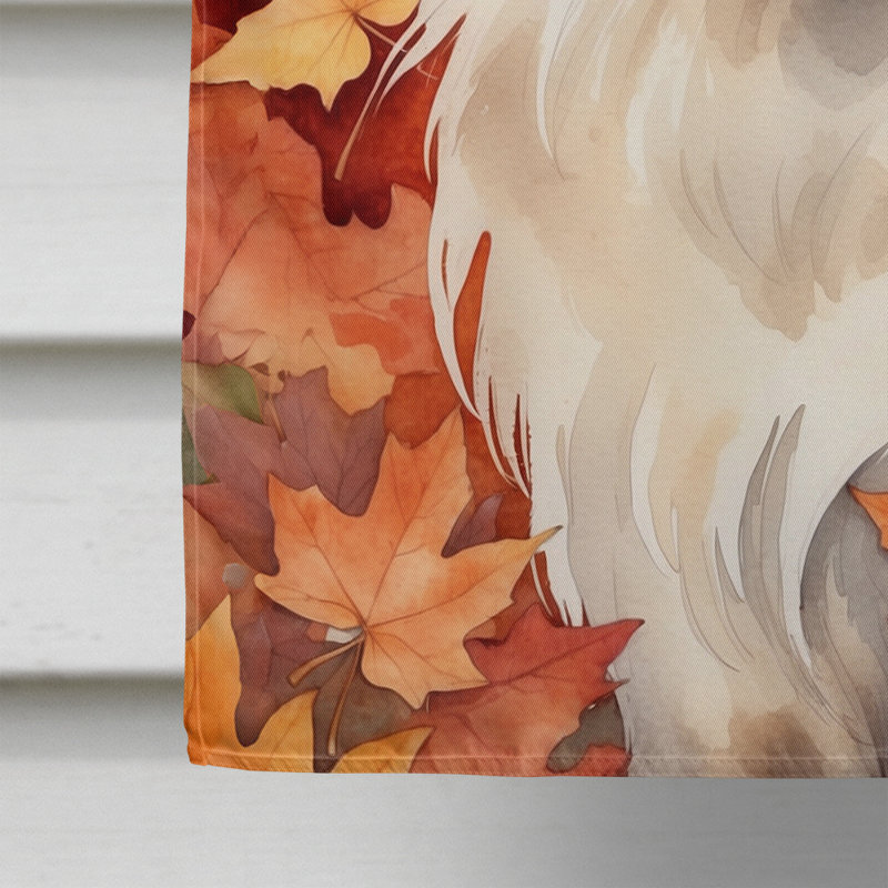 Chat en feuilles d'automne, Balinais