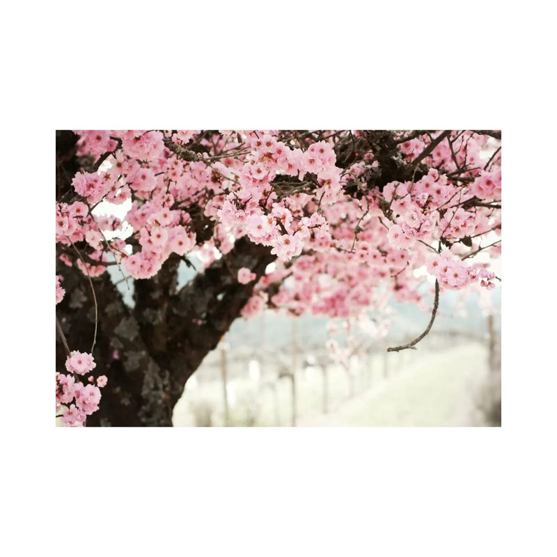 Brand New Day by Lupen Grainne - Wrapped Canvas Print, 101.6 cm H x 66.04 cm W x 1.91 cm D