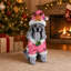 Statue de Noël caniche, Figurine de chien des Fêtes en tenue de père Noël pour la décoration intérieure